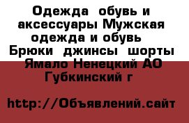 Одежда, обувь и аксессуары Мужская одежда и обувь - Брюки, джинсы, шорты. Ямало-Ненецкий АО,Губкинский г.